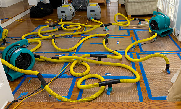 Professional Water Damage Repair technician working in Winnsboro, LA